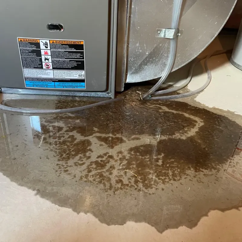 Appliance Leak Cleanup in Goodings Grove, IL